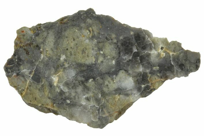 NWA Lunar Meteorite ( g) Slice #360584